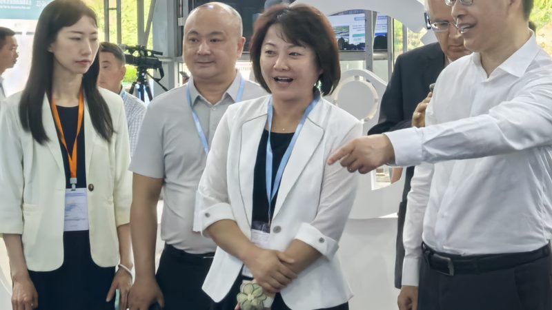 柴油发动机涡轮增压器：批发价格背后的技术考量